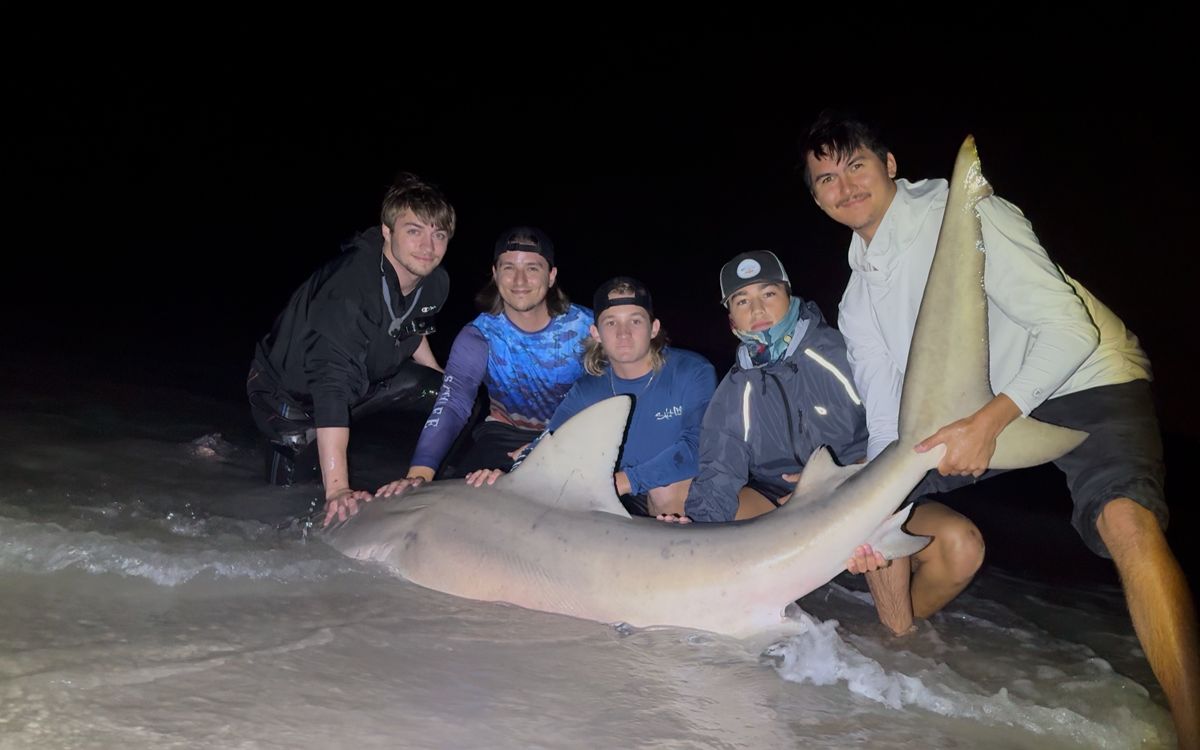 Night fishing with friends, holding a shark